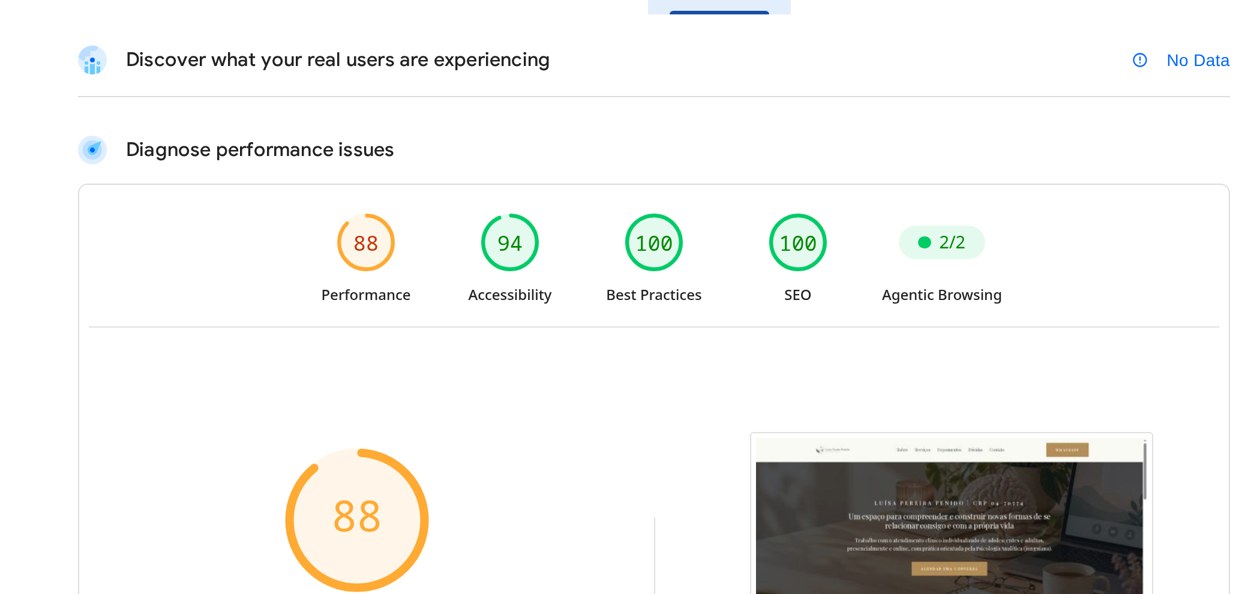 Captura do PageSpeed Insights: desempenho 88 no computador, acessibilidade 94, boas práticas 100 e SEO 100